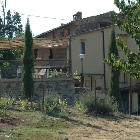 Lionforti Da Vico