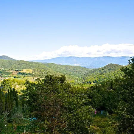 Lionforti Da Vico Affittacamere Greve in Chianti