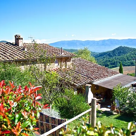 Lionforti Da Vico Guest house 2*